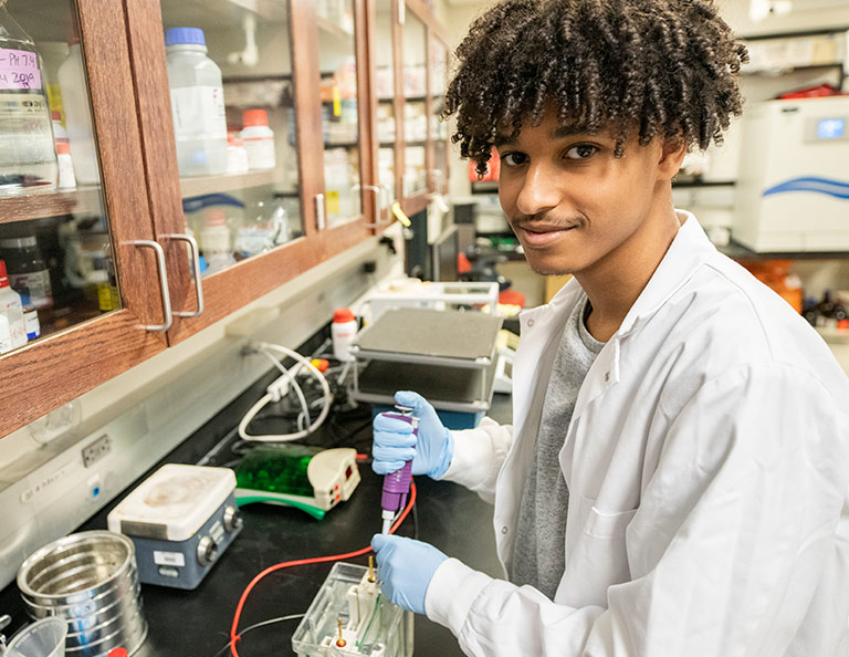 Paid Research Opportunity for HSTA Scholars