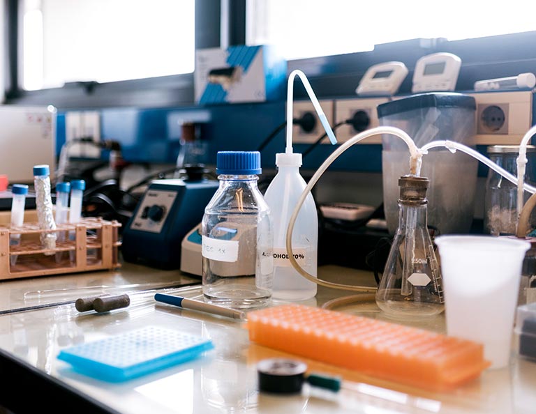 2025 WV-INBRE Summer Research Internship for High School Science Educators now accepting applications