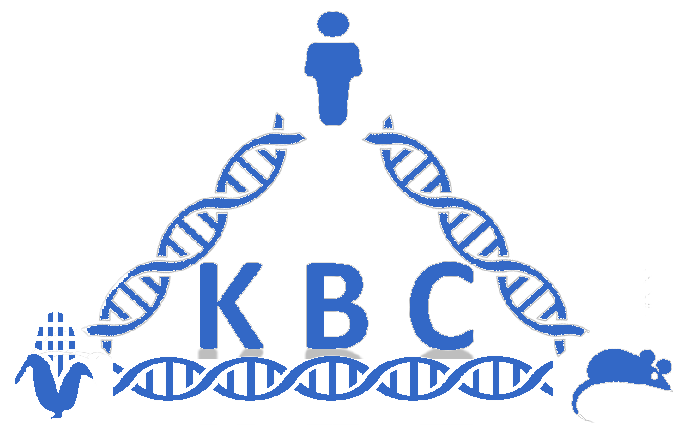 KBCommons